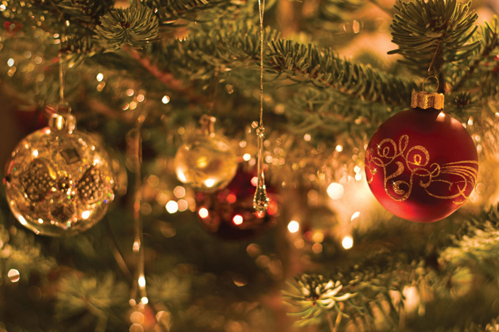 Fire Safety Tips for Your Christmas Tree - Santo Insurance & Financial ...